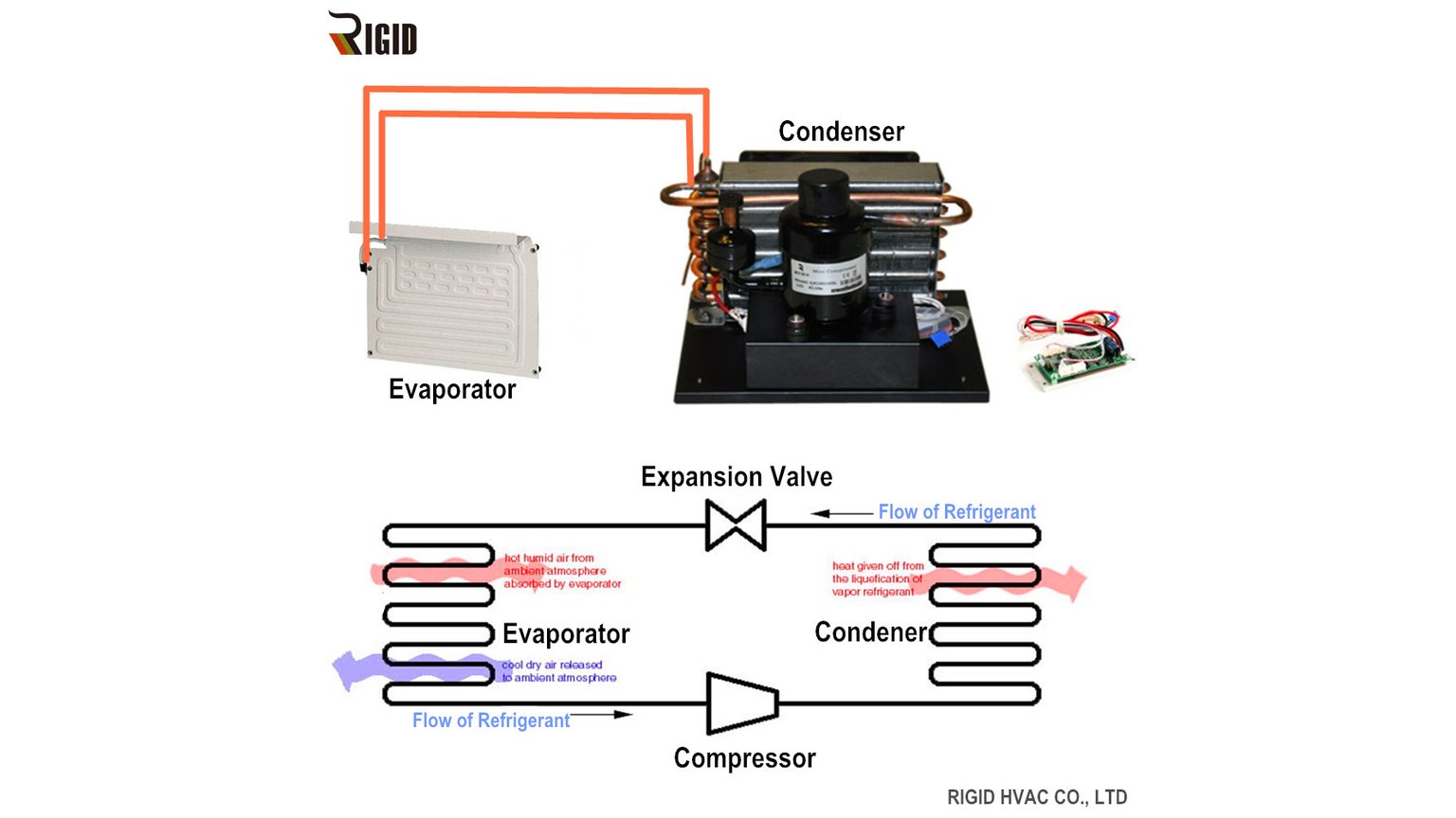 Direct refrigeration system diagram for DC cold room setup